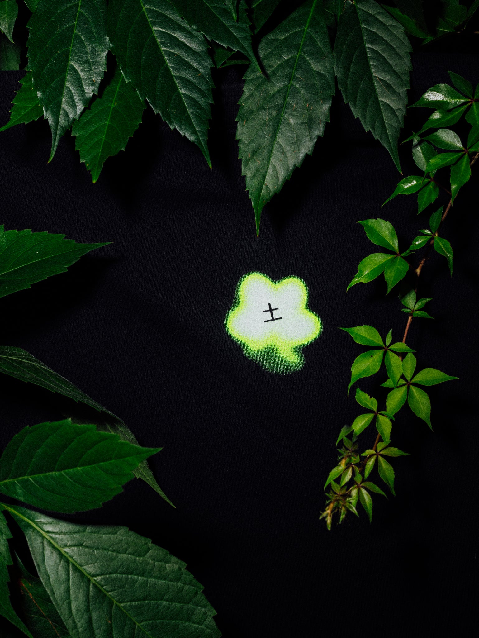 tu³ Graphic Leaf T-shirt